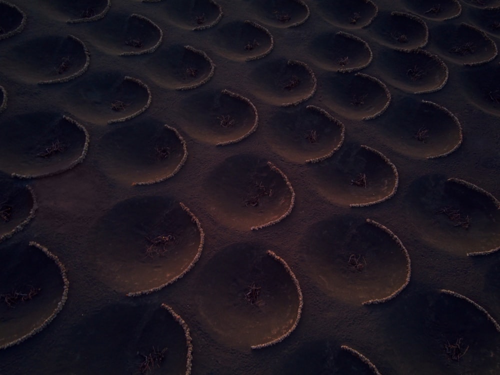 a close up of a pattern made of sand