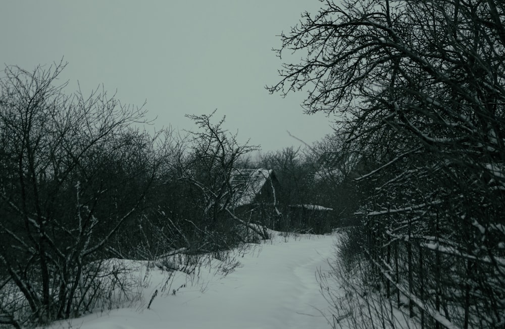 a snow covered path with trees and a house in the distance