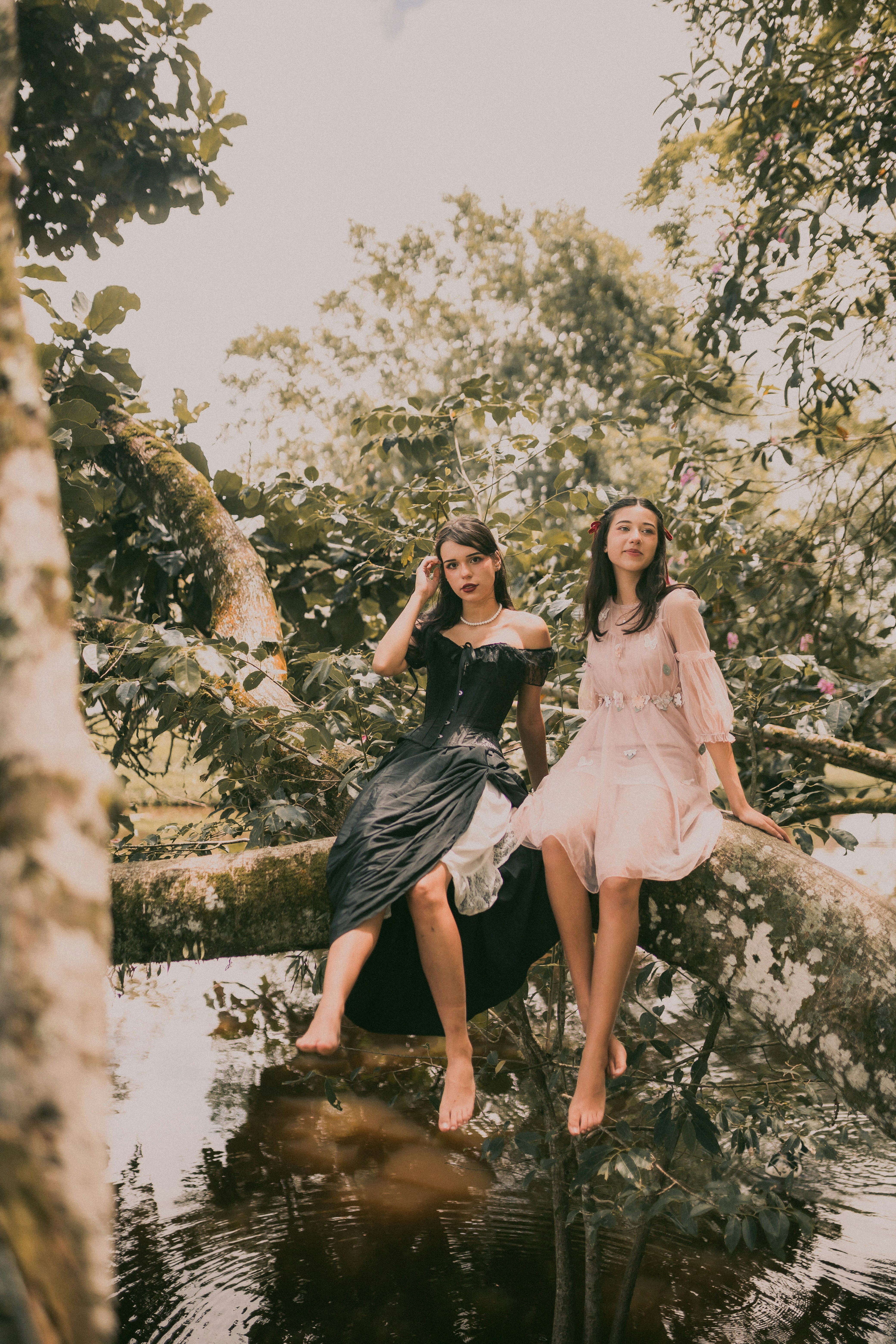 Photo by alexandermassph