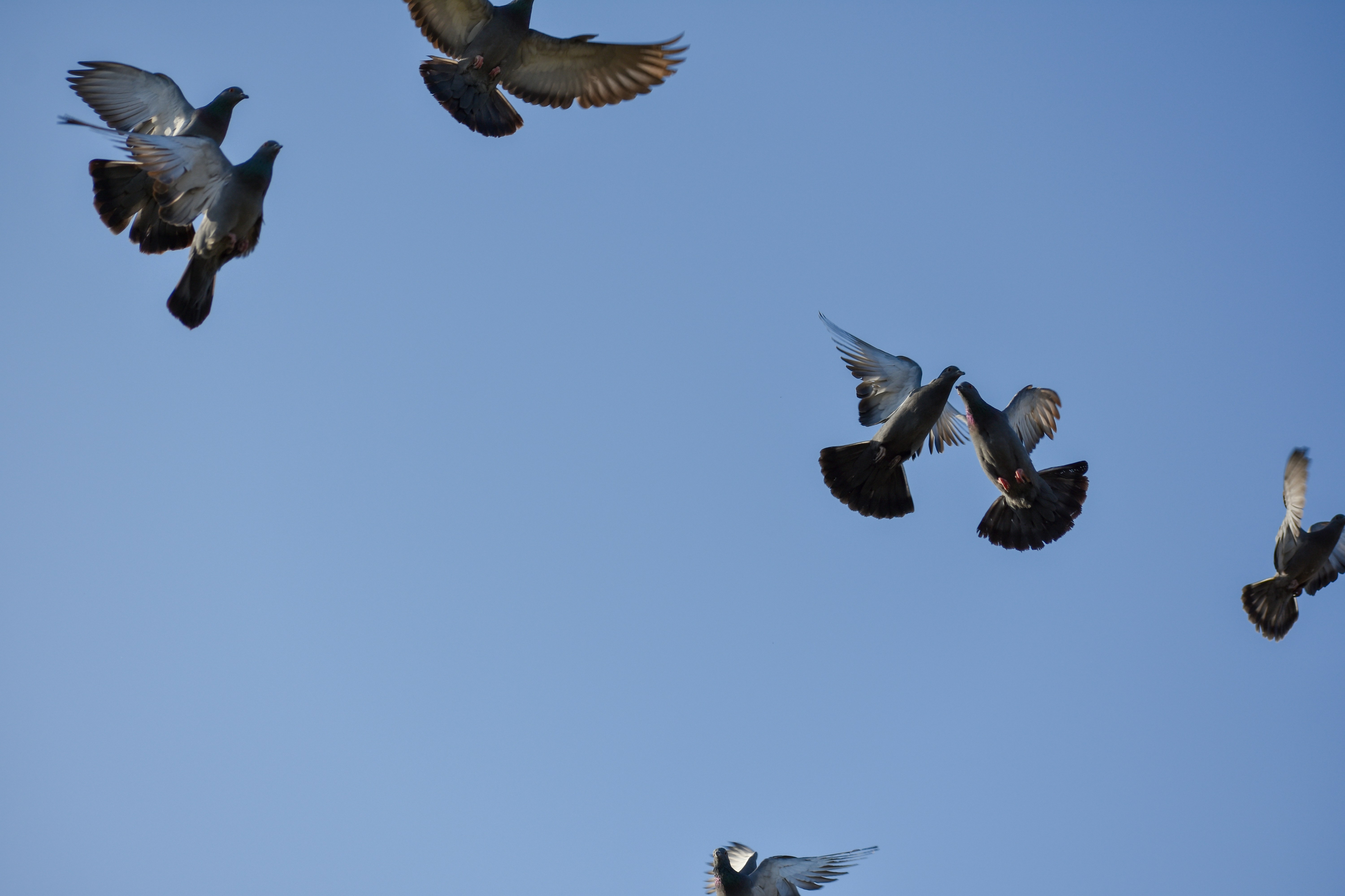 Photo by neelakshi_singh_