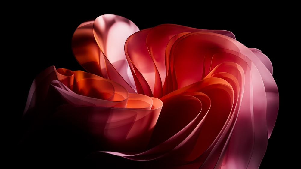 a close up of a flower on a black background