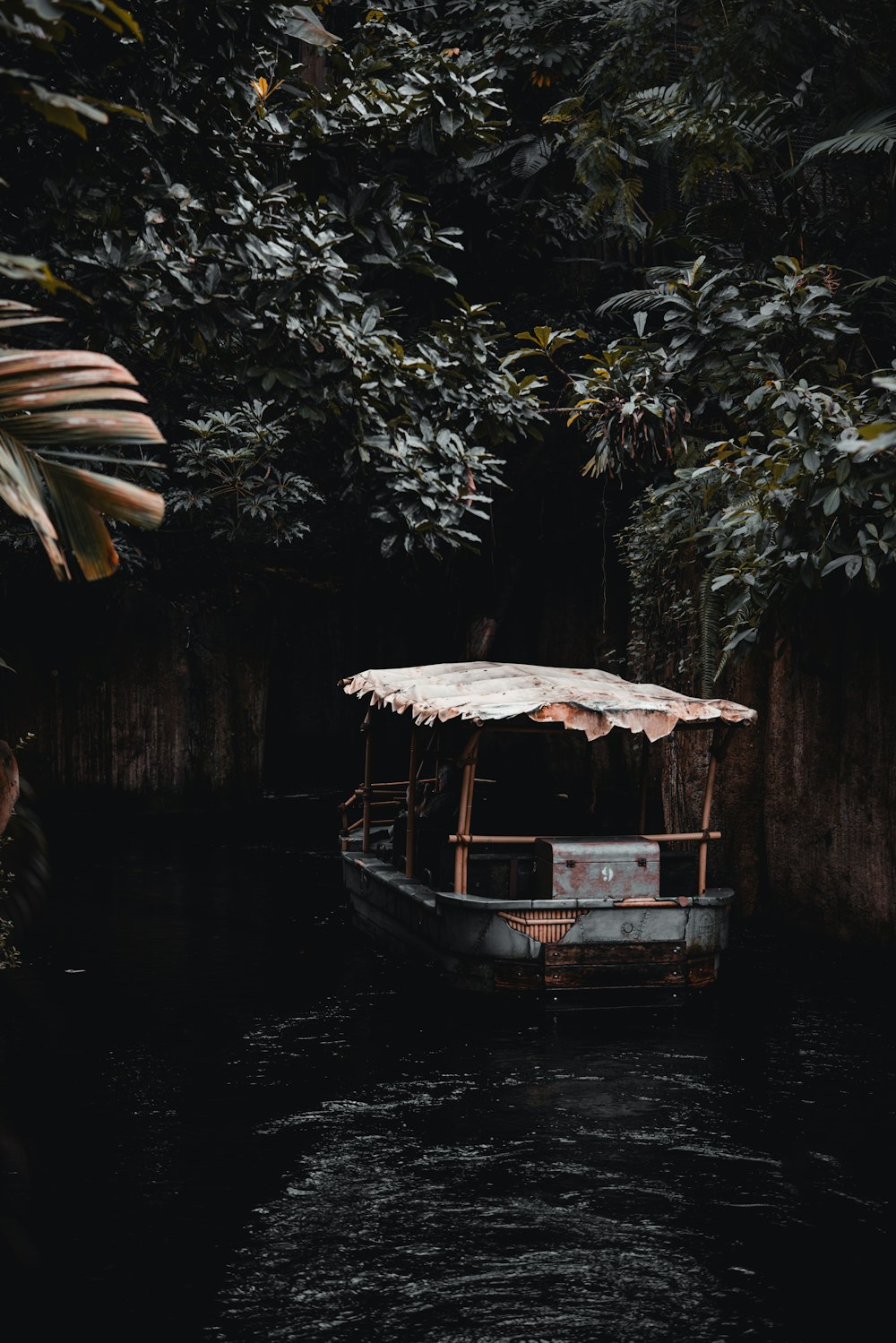 a boat floating down a river next to a forest