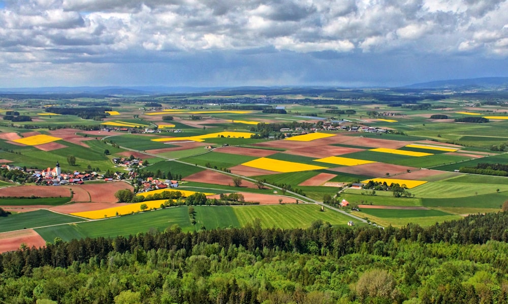 a view of a green field with yellow flowers