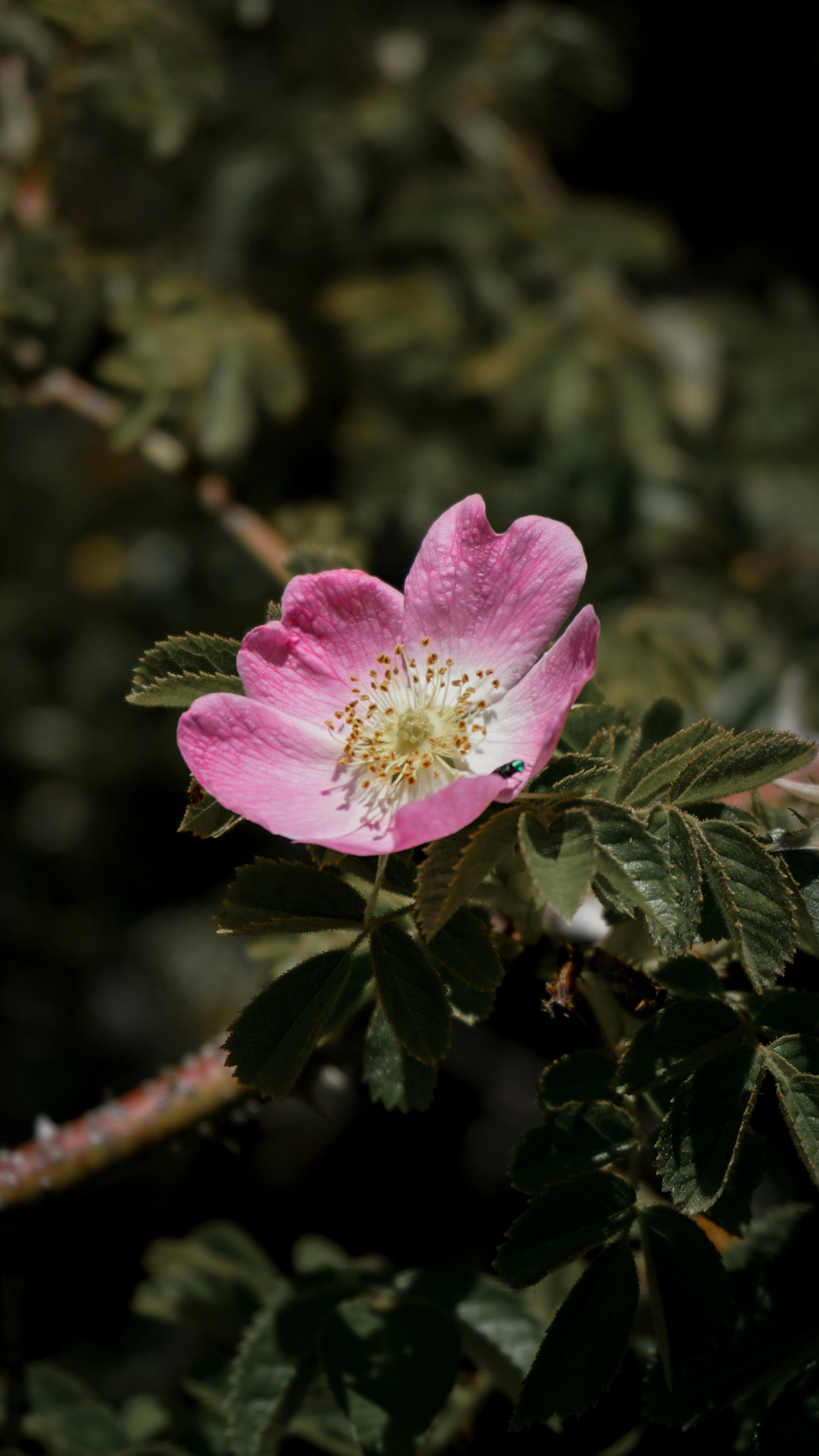 Photo by julianurrutia