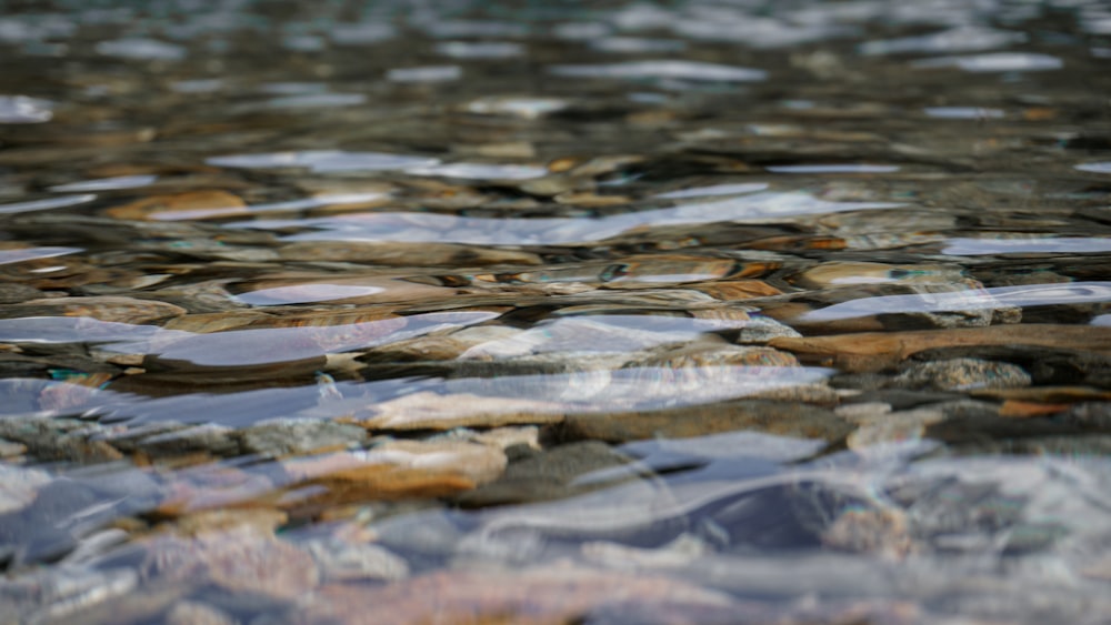 a close up of water with rocks in it