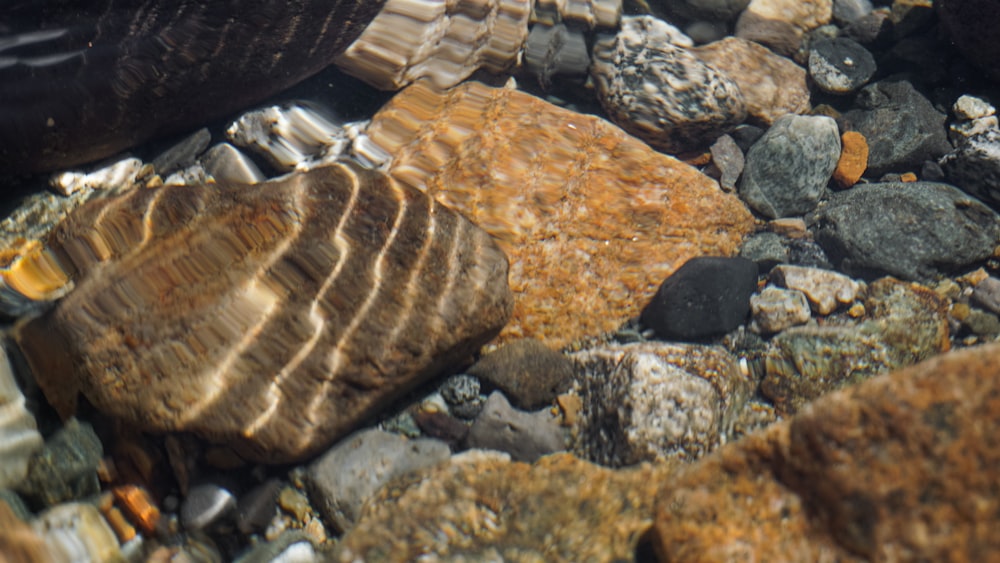 a close up of rocks and water on a beach