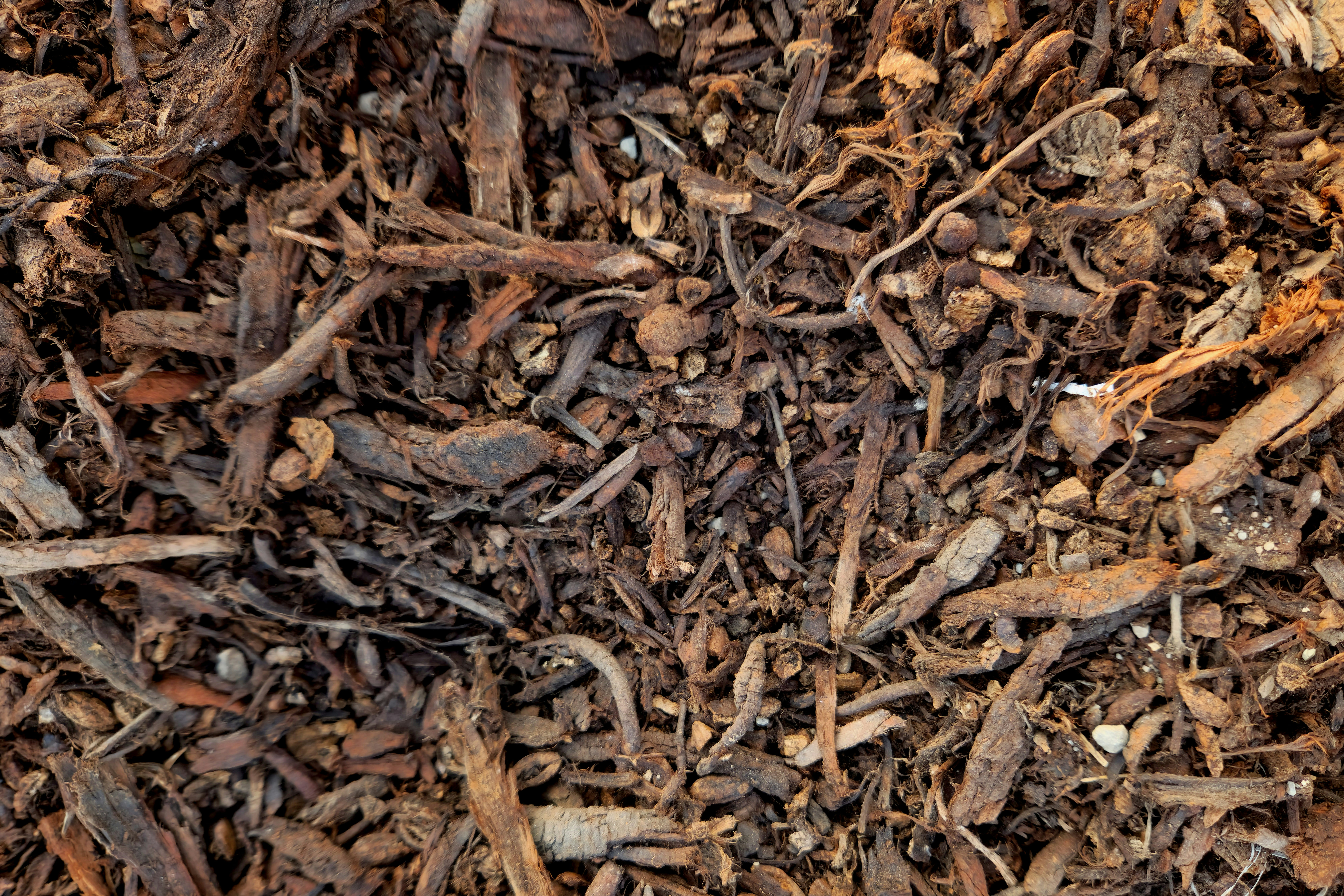 bark mulch - bark for mulching