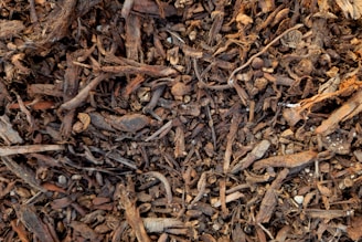 a close up of a pile of wood chips