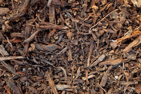 a close up of a pile of wood chips