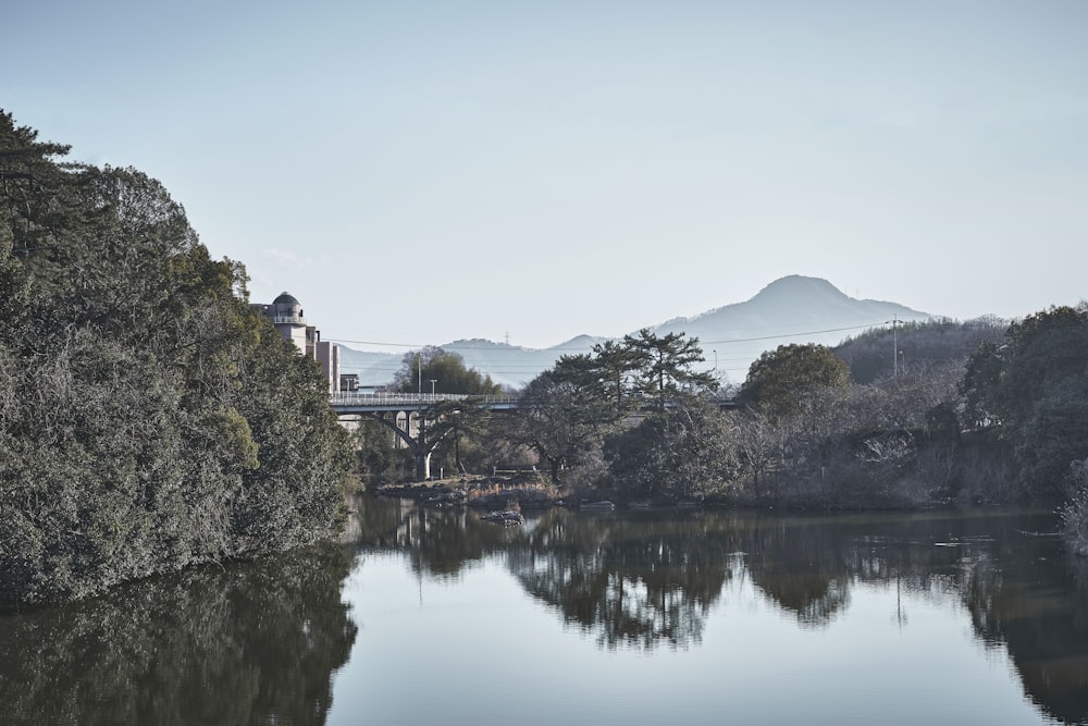 a body of water surrounded by trees and a bridge