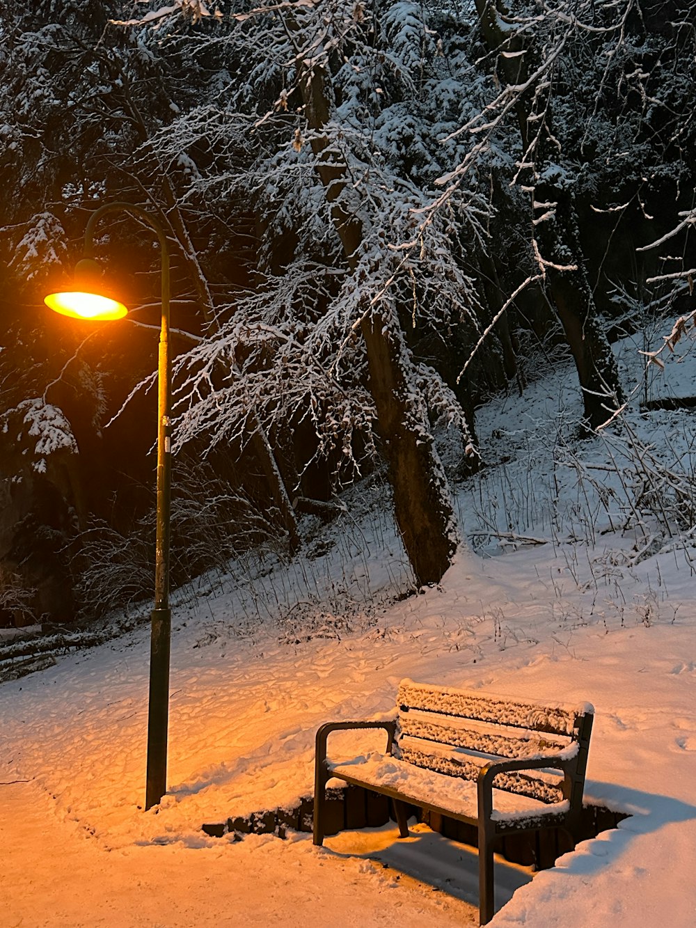 a park bench covered in snow next to a street light