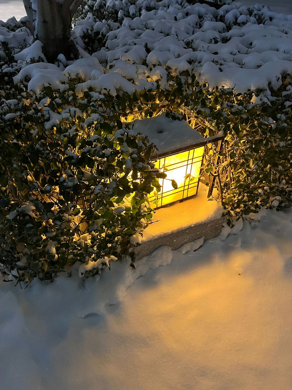 a lantern in the middle of a snowy yard