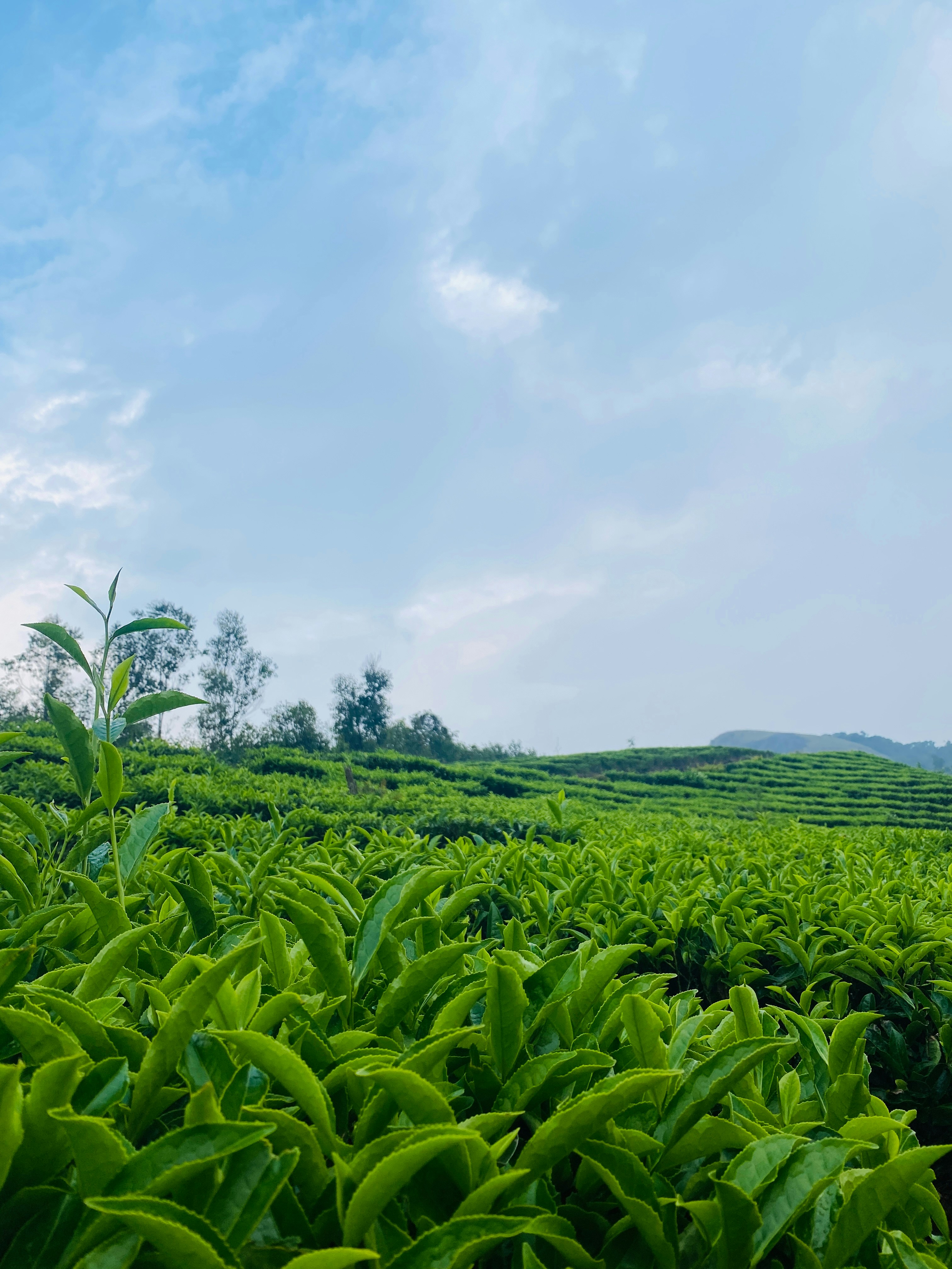 Photo by musing_photography