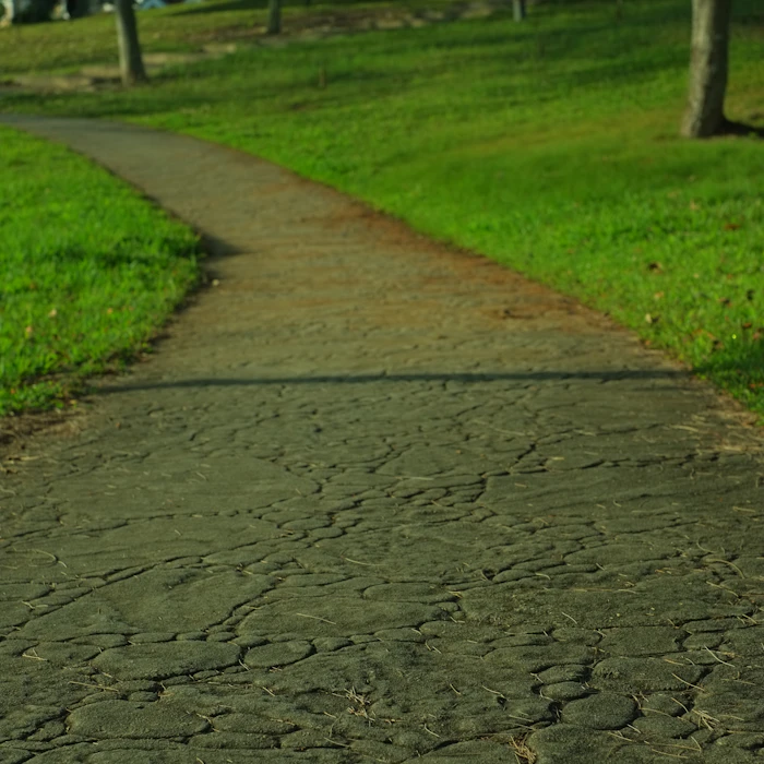A clean concrete path running through a green lawn.