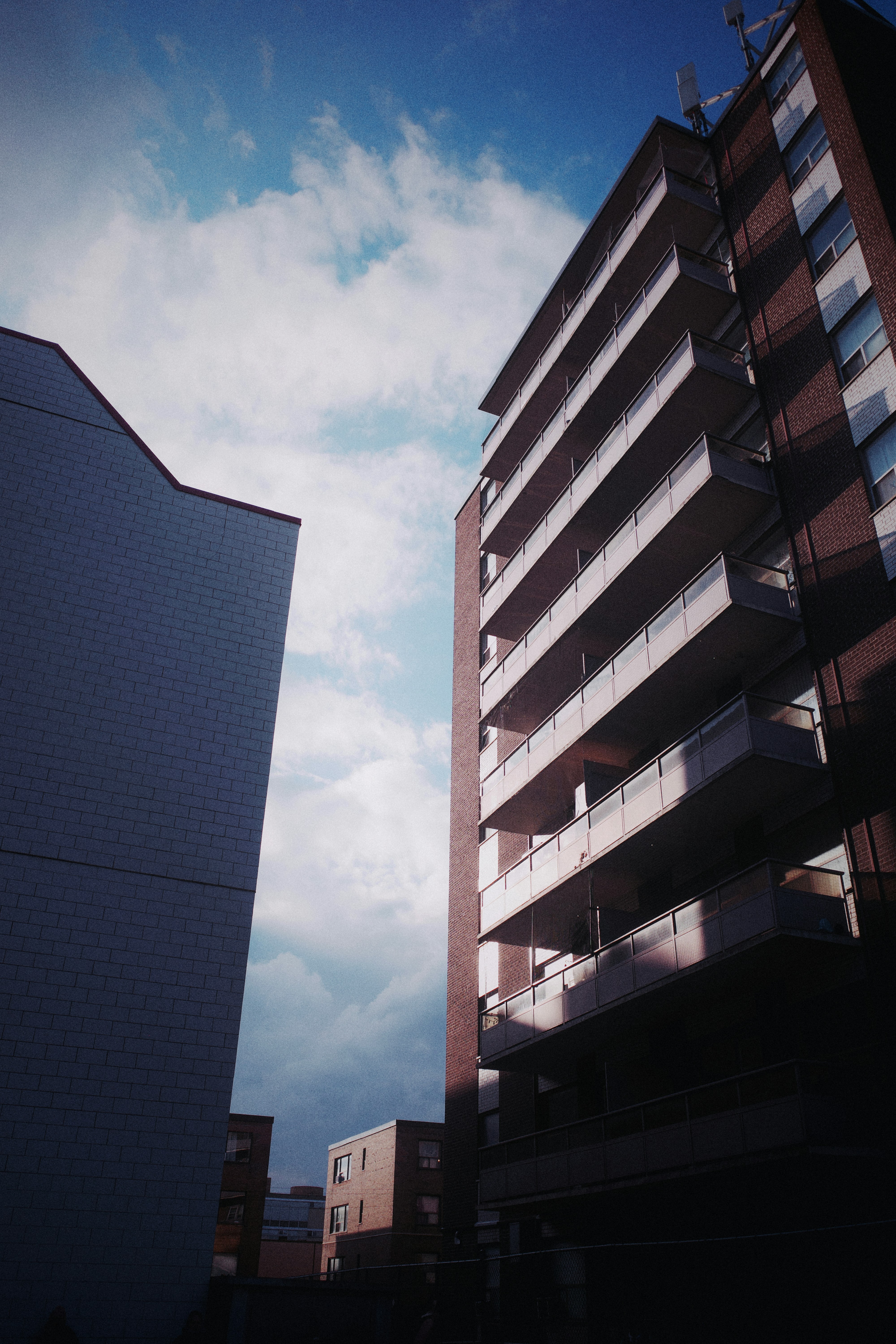 Photo by tylerrooney