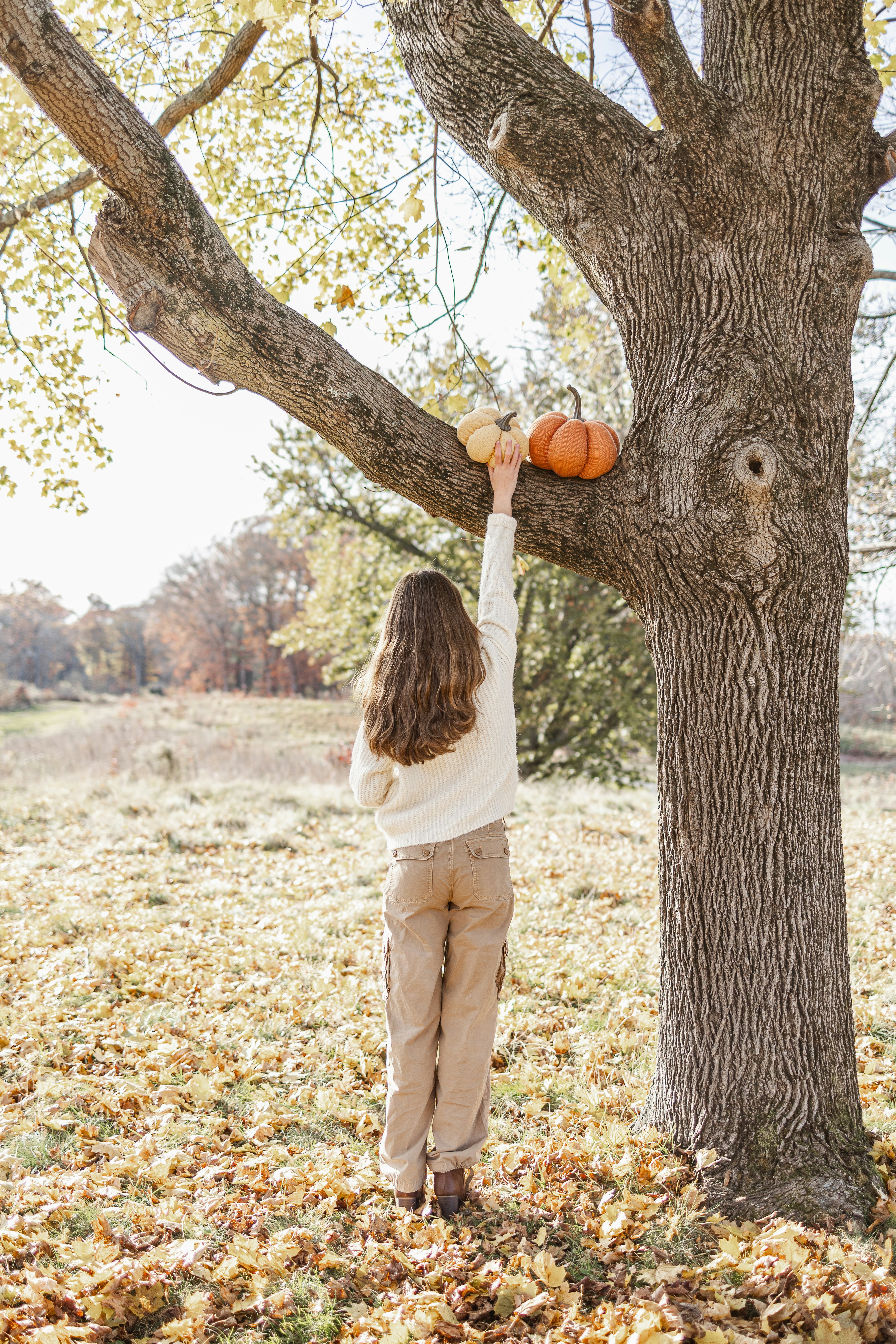 Photo by stephanieweggeman