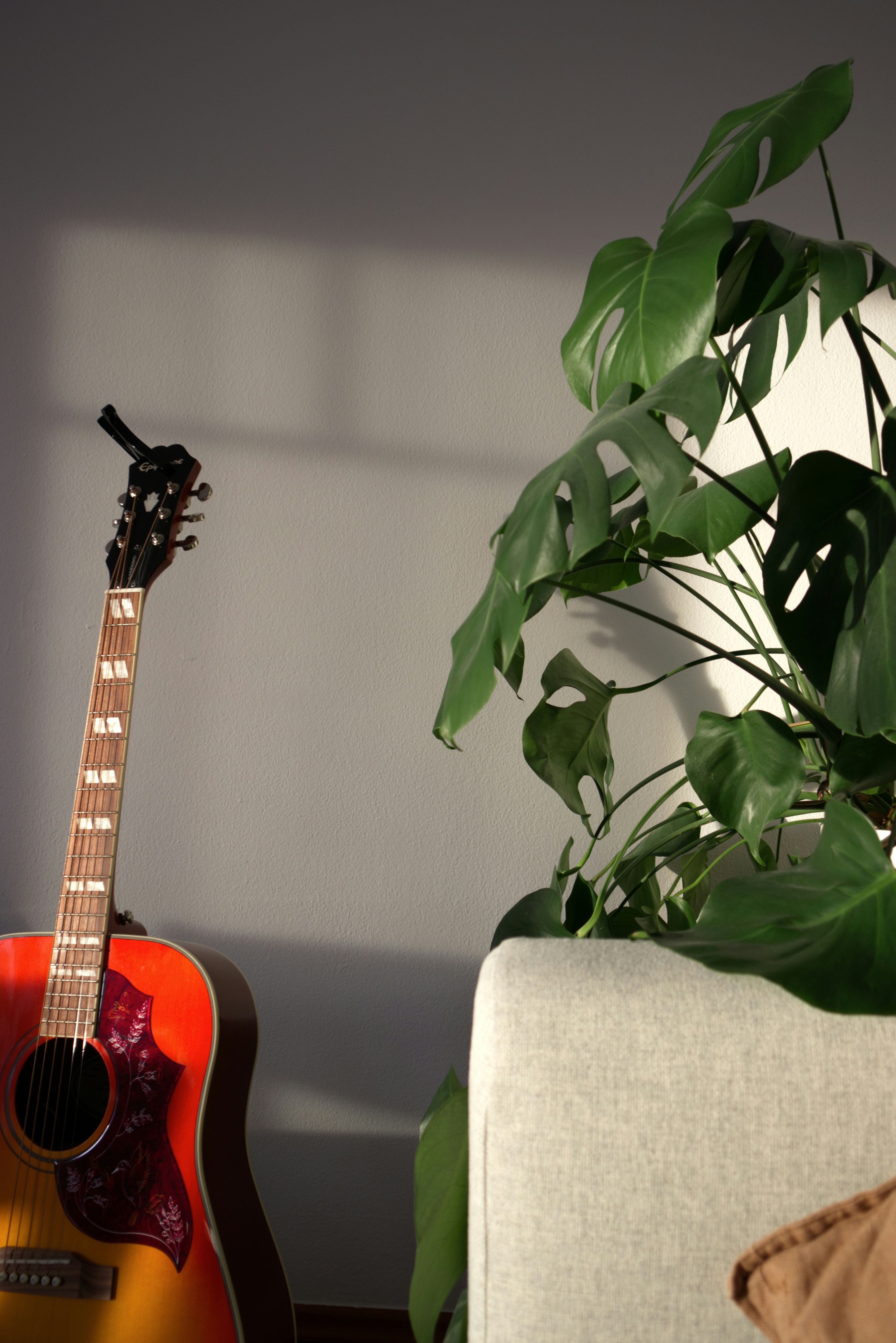 a guitar sitting next to a potted plant