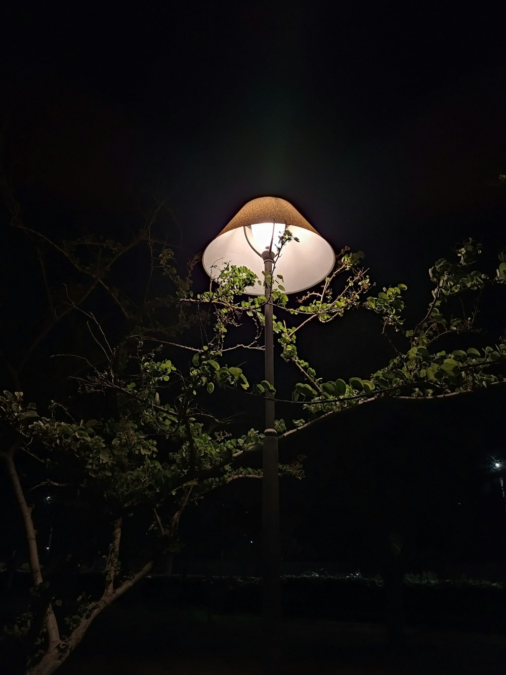 eine Lampe an einem Mast im Dunkeln