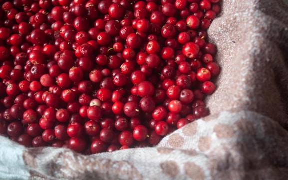 a bag full of cranberries sitting on top of a table