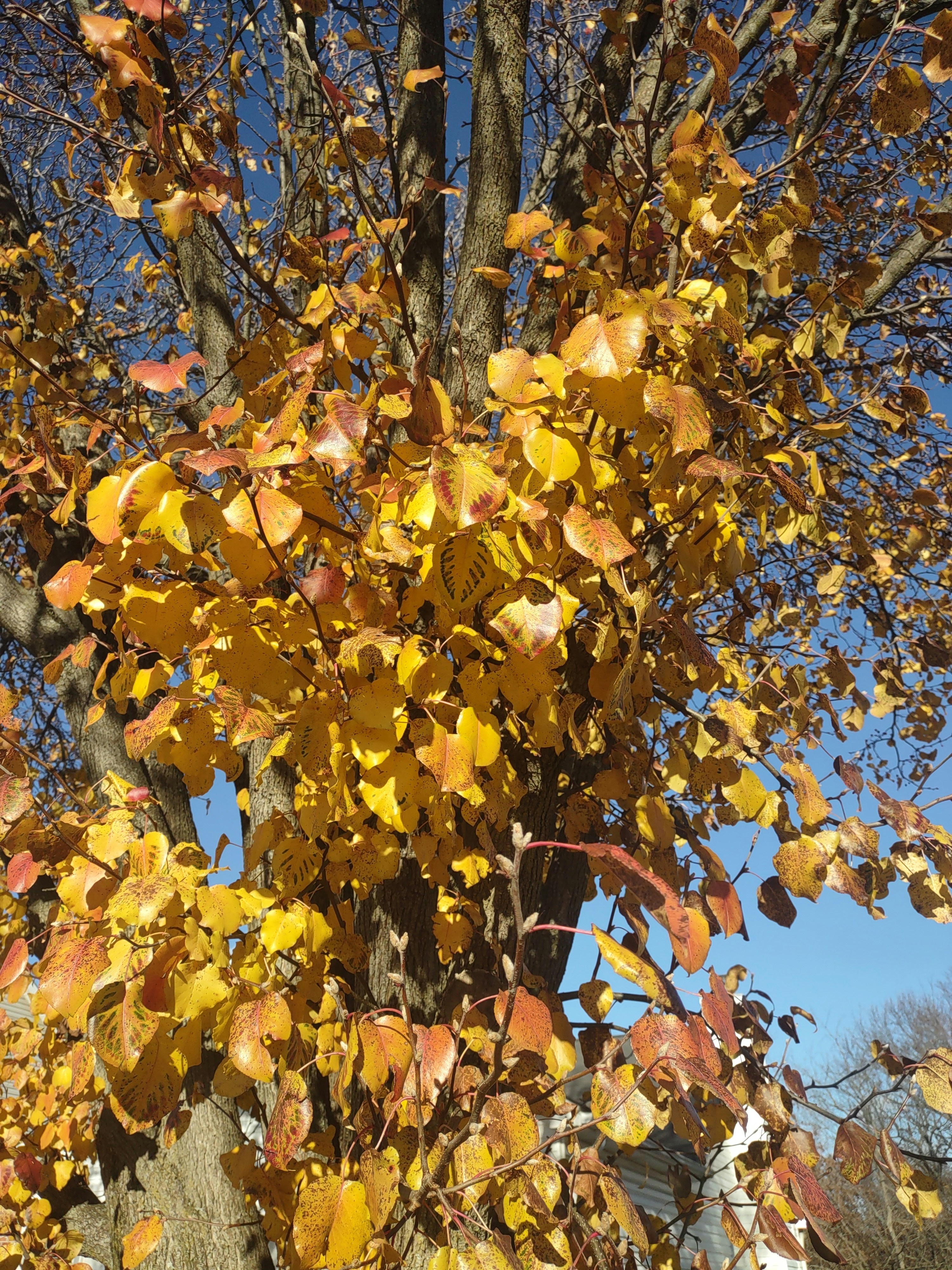 Photo by spellsinink