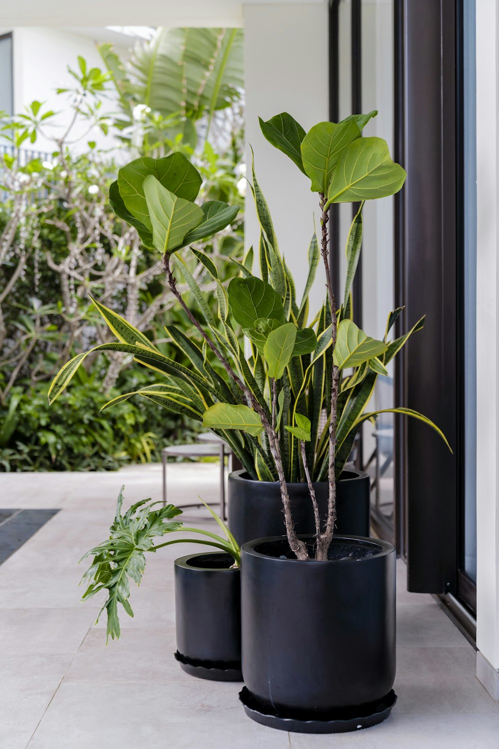 a couple of potted plants sitting on top of a tiled floor