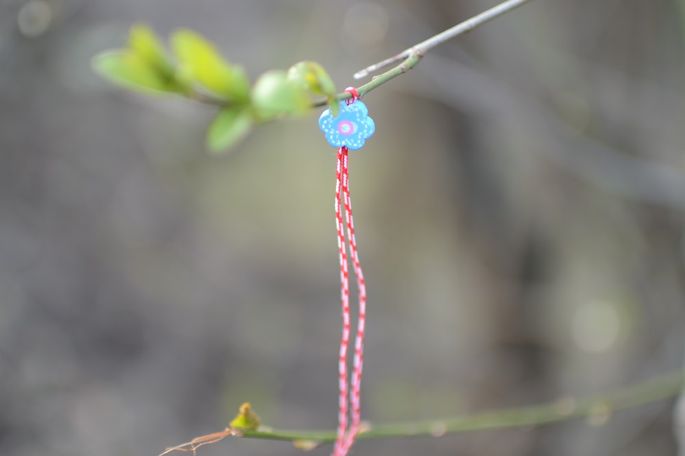 a close up of a flower on a tree branch