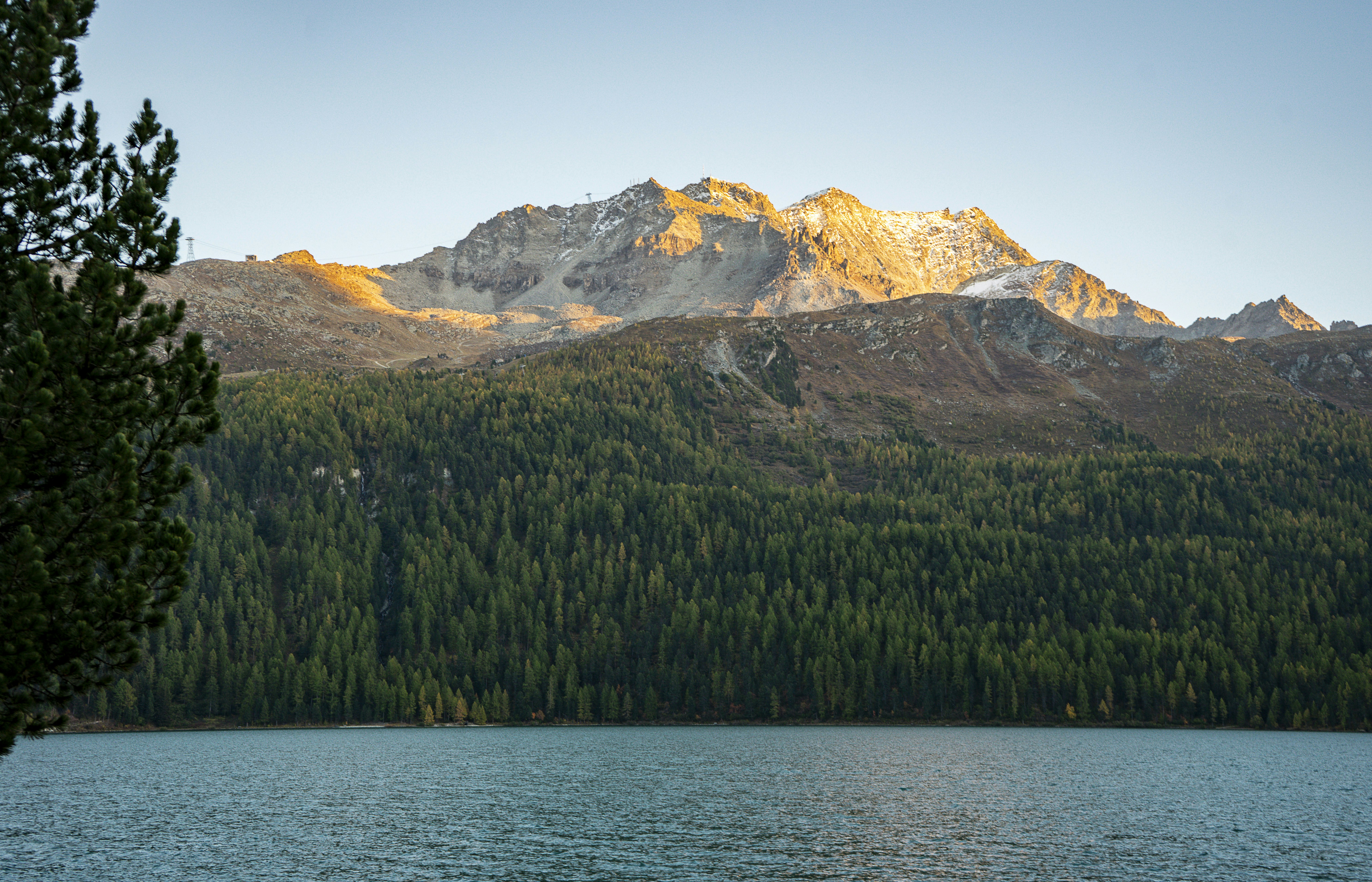 Photo by milenabuehler