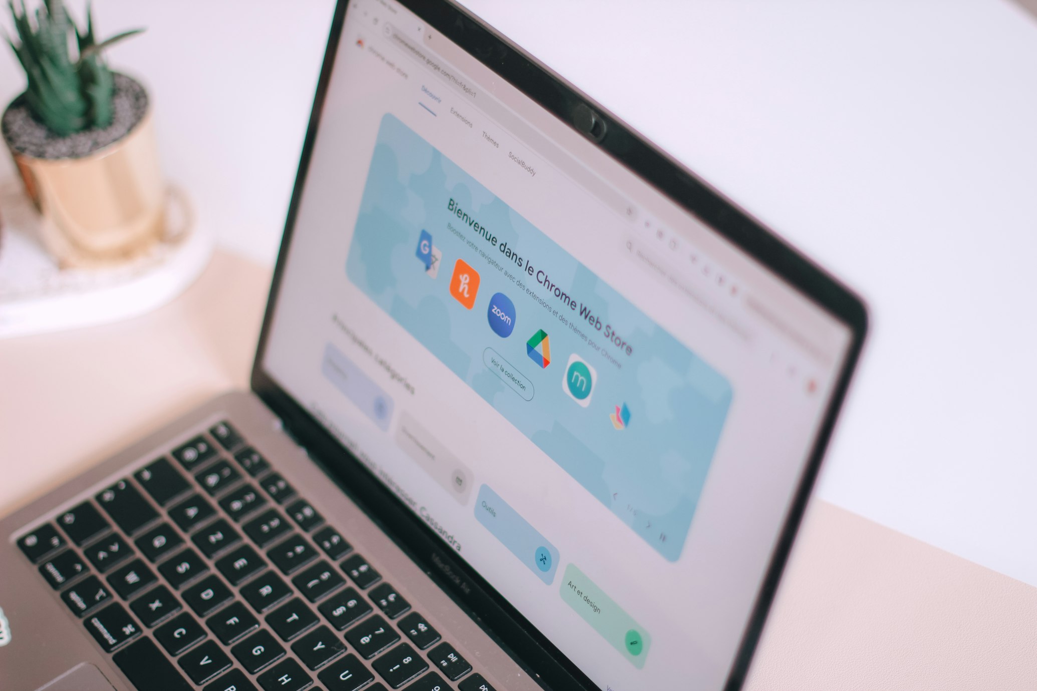 Custom software Development of the Chrome browser extension interface