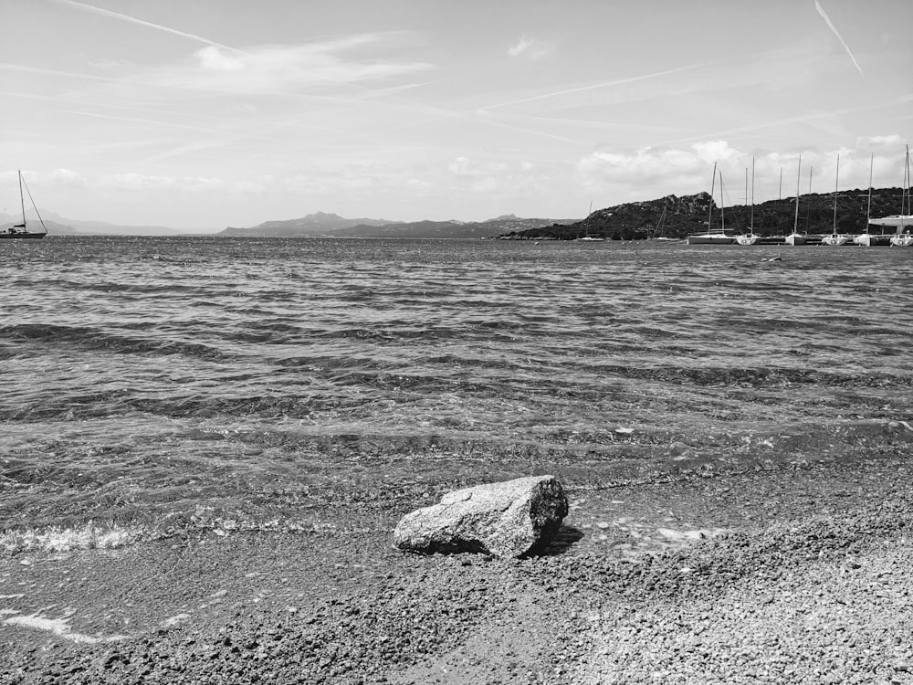 a black and white photo of a body of water