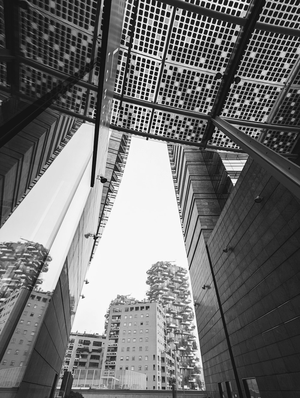 a black and white photo of tall buildings