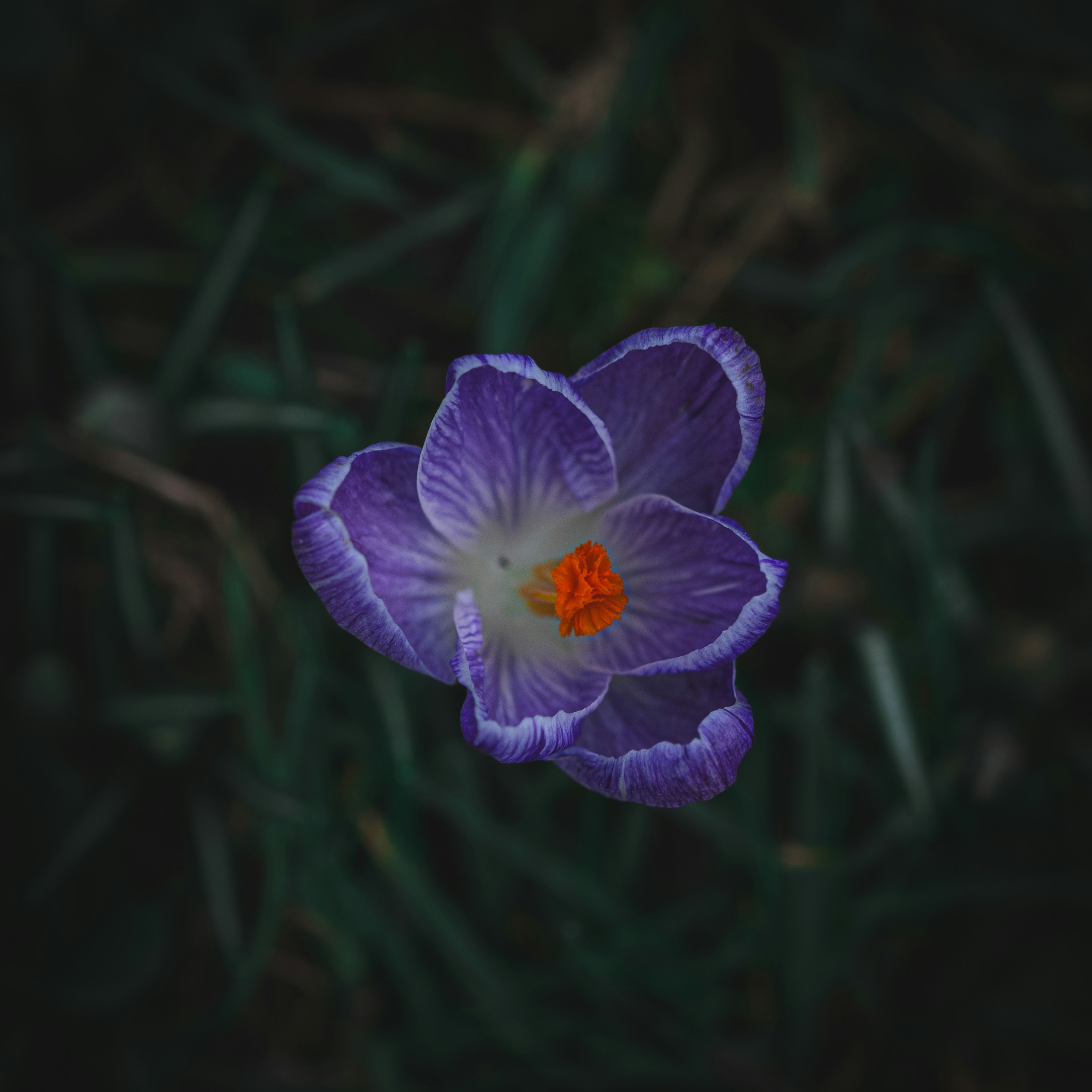 Photo by matt_captures_nature