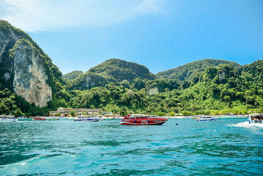 Mangrove creek and limestone caves at Baratang, Andaman