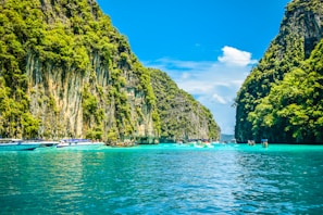 a group of boats floating on top of a body of water