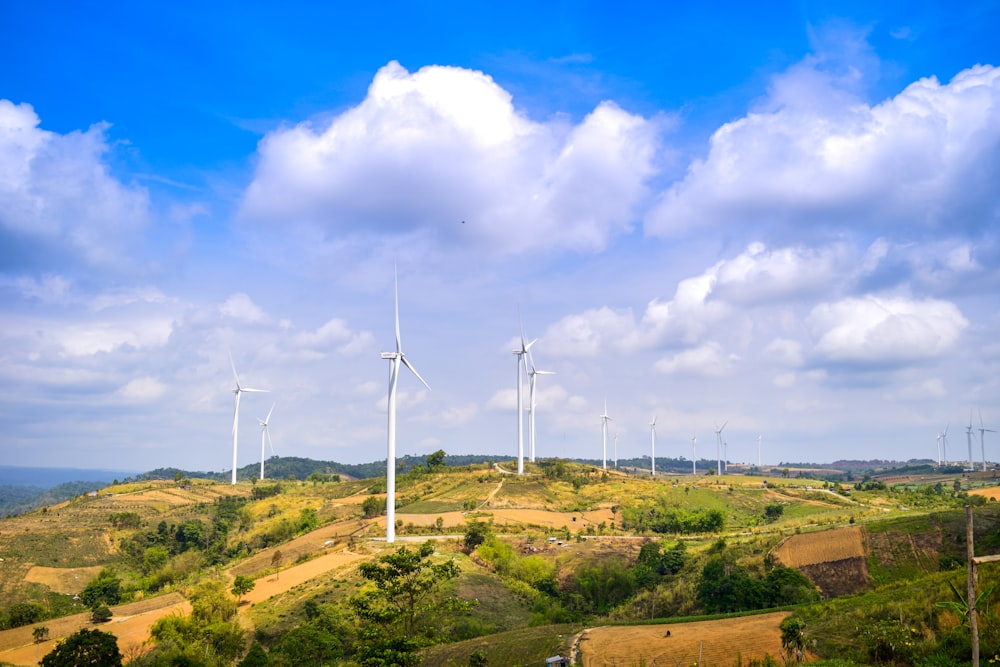 a bunch of windmills that are on a hill