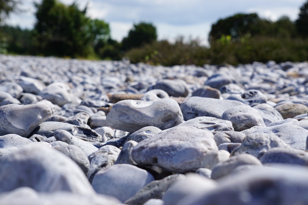 a bunch of rocks that are laying on the ground