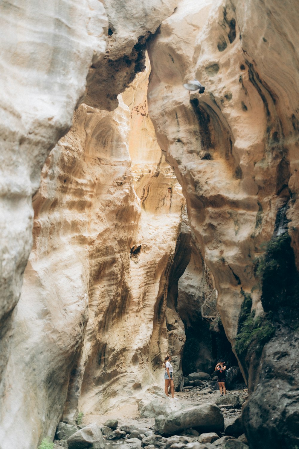 a group of people standing in the middle of a canyon