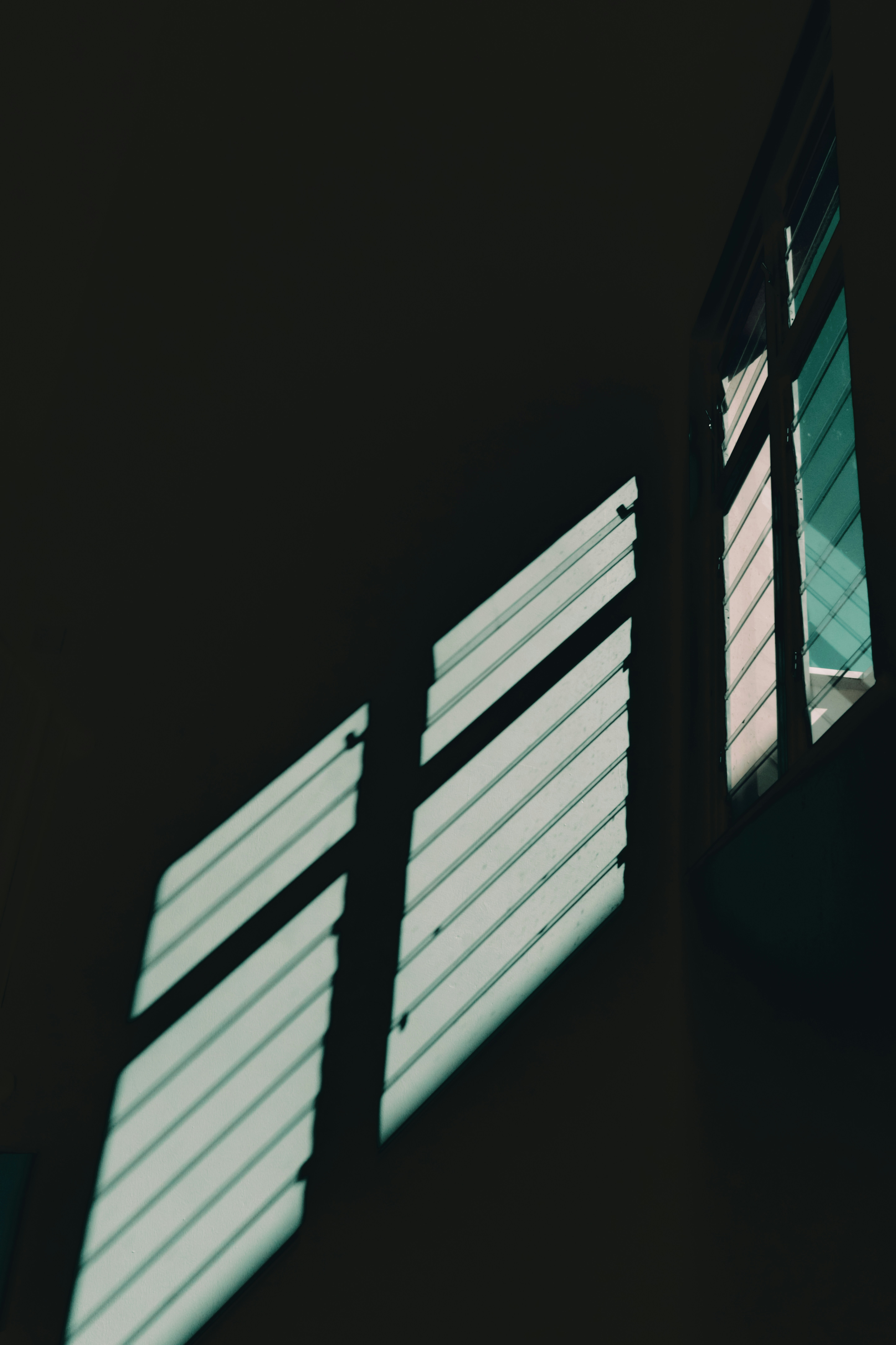 Photo by stevecameup