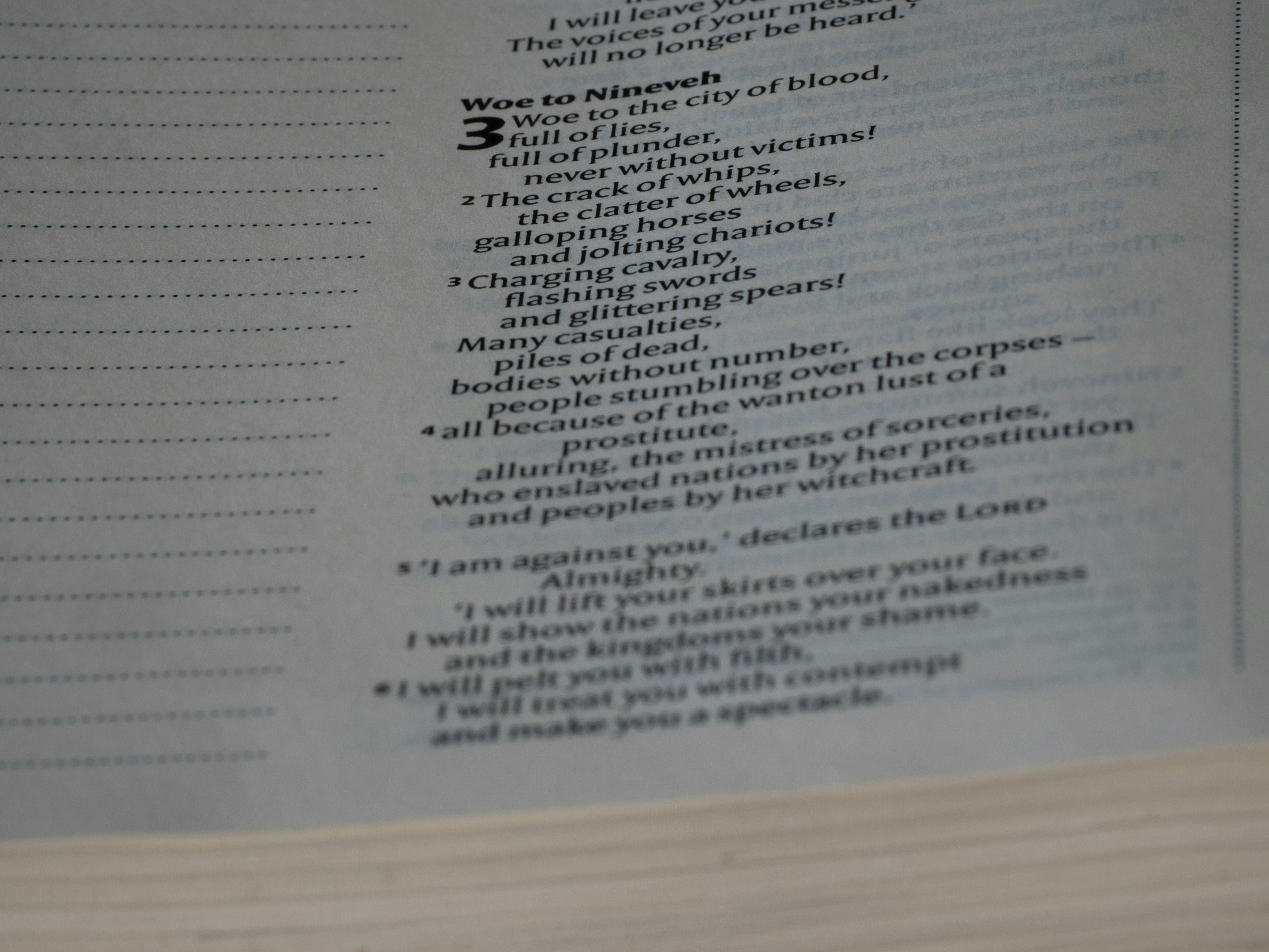 Photo by brett_jordan