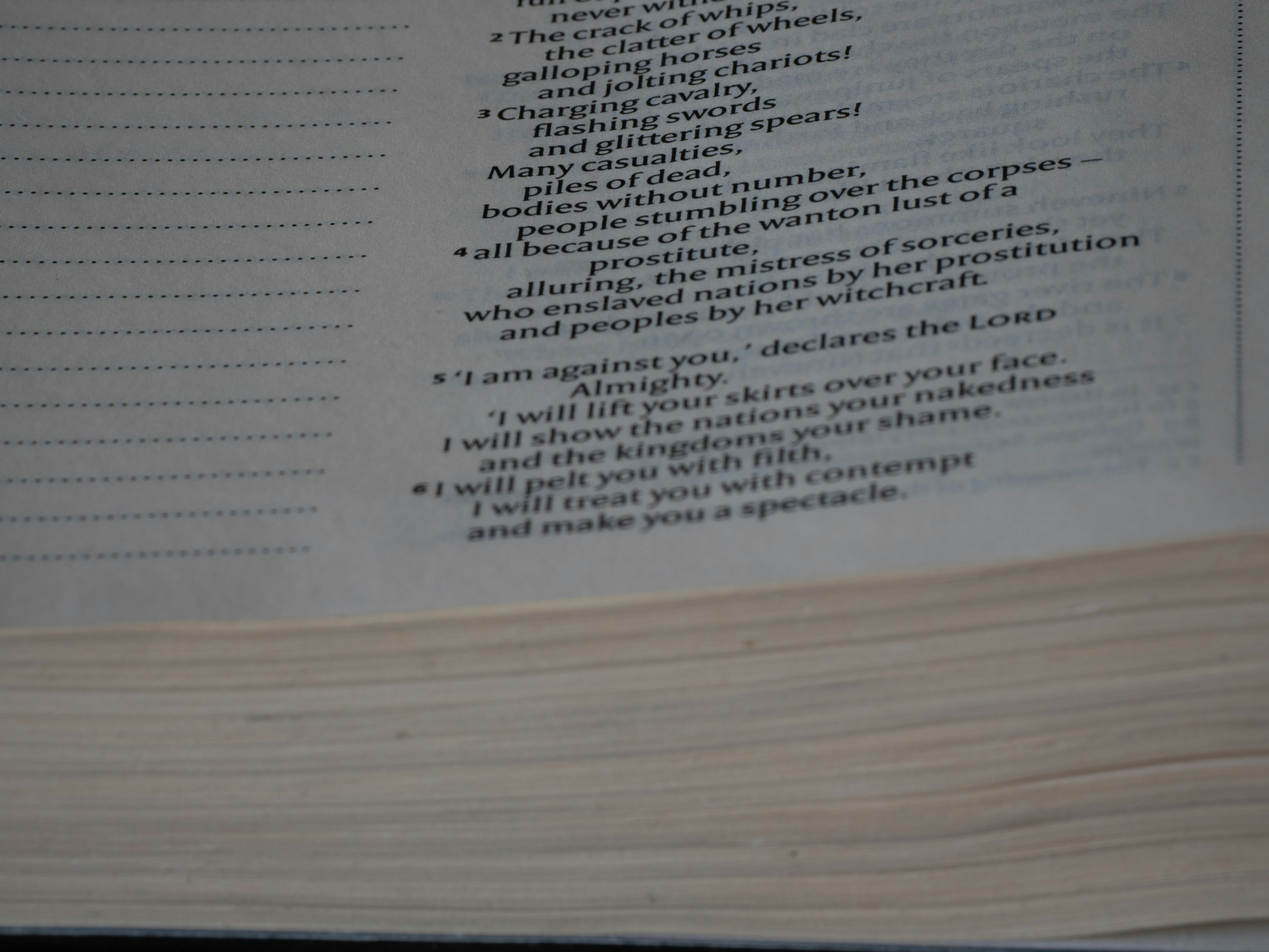 Photo by brett_jordan