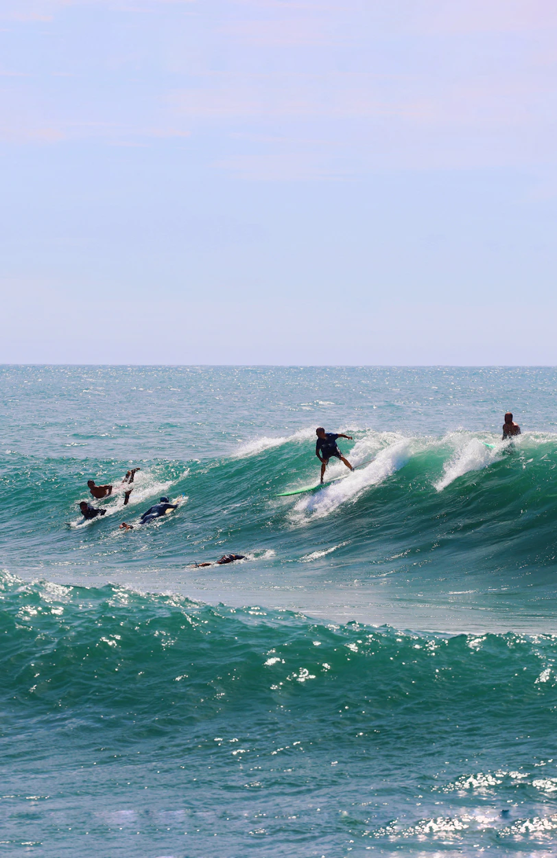a group of people riding surfboards on top of a wave