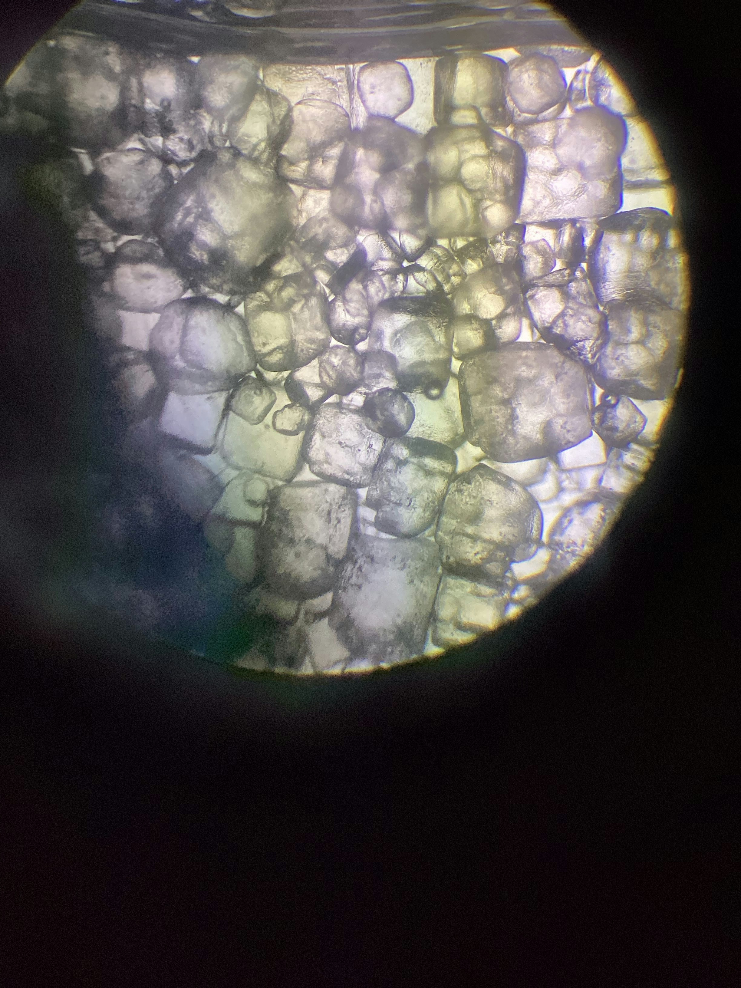 Thumbnail for a biology lecture video.