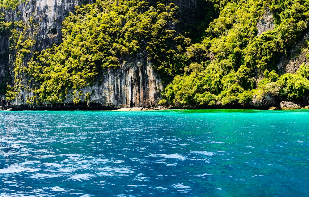 a body of water surrounded by mountains and trees