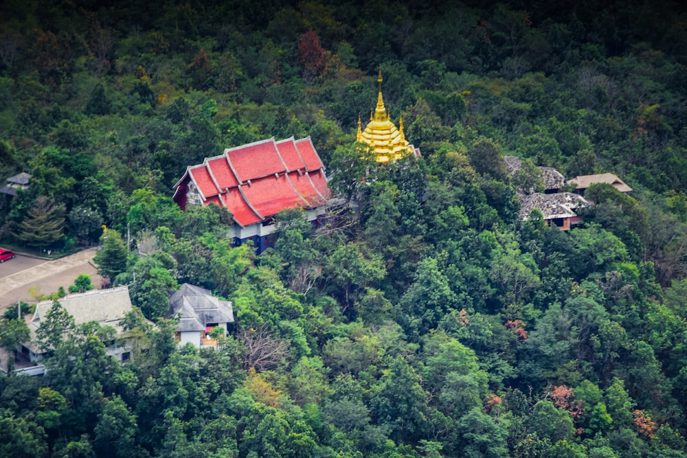 an aerial view of a building in the middle of a forest