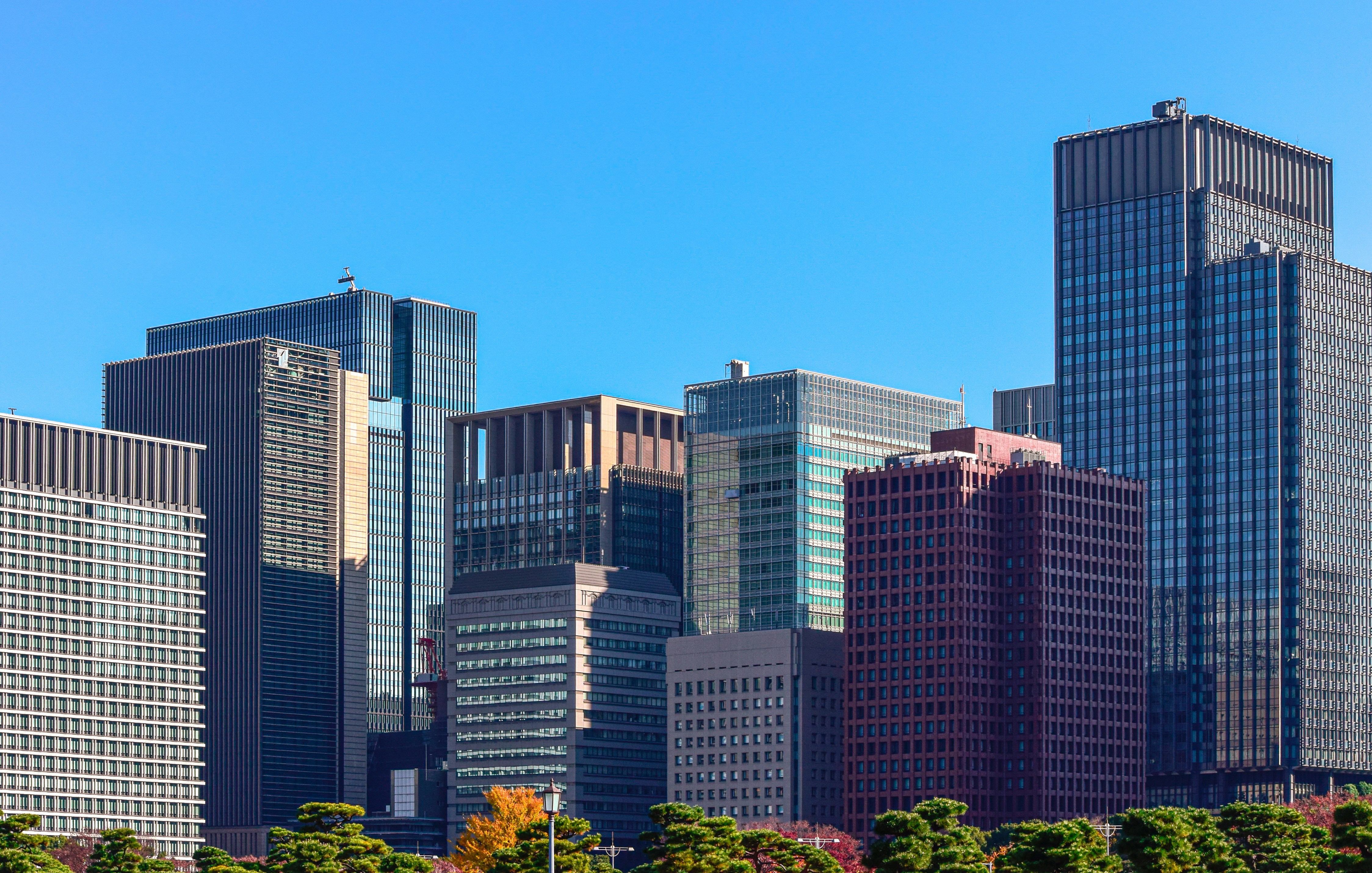 New Voices at the Table: Australian Women Executives Driving Change in Japanese Business