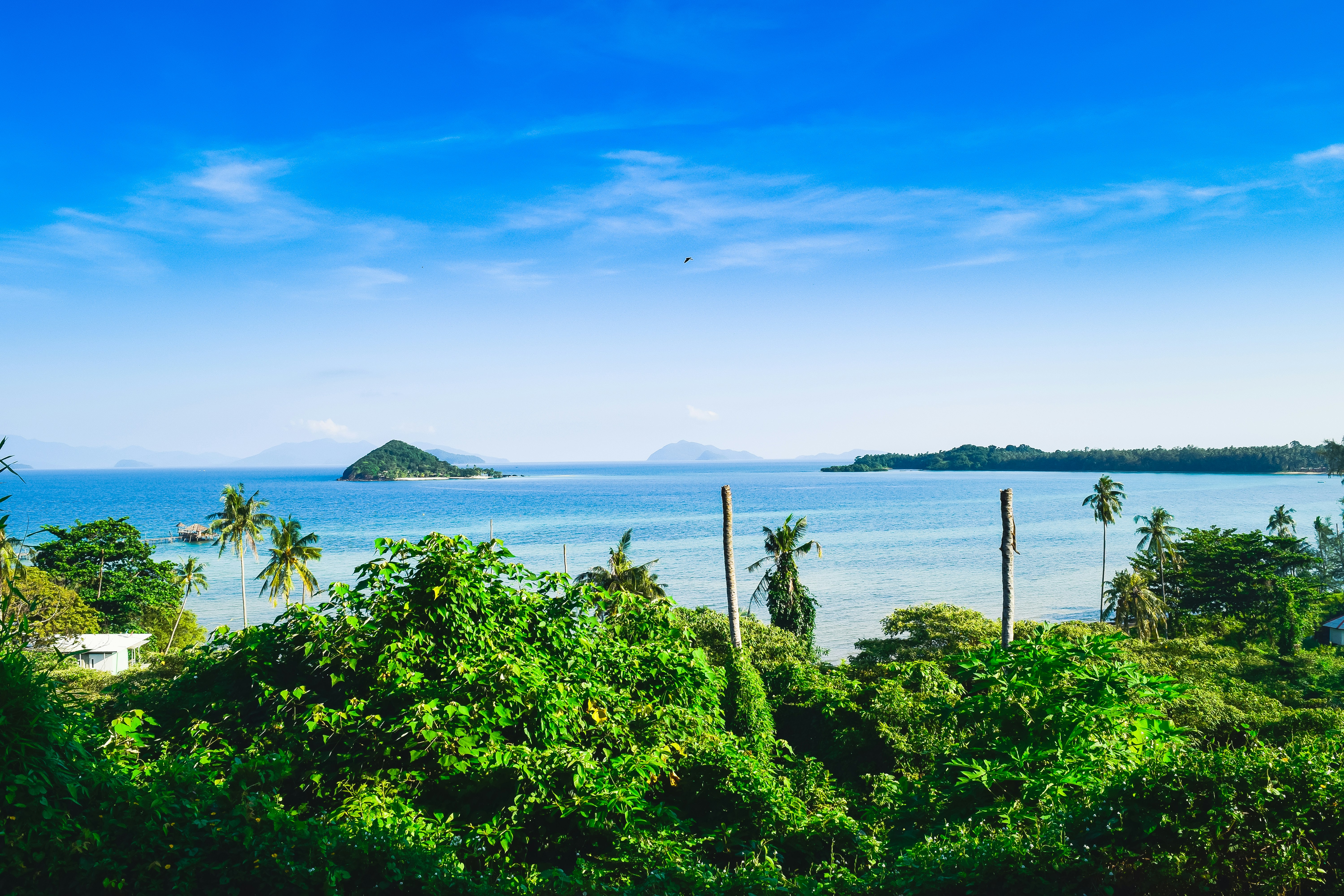 Mitchells Island, New South Wales