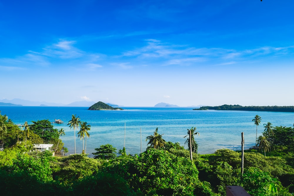 a view of the ocean from a hill top