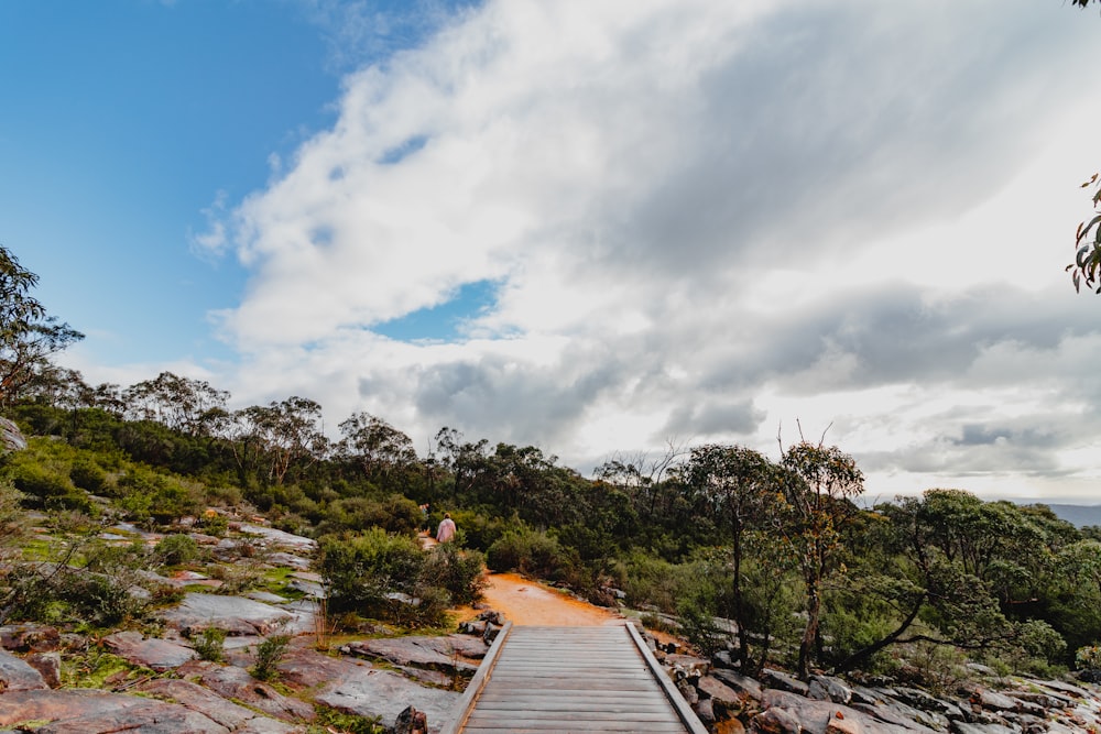 a wooden walkway going up a rocky hill