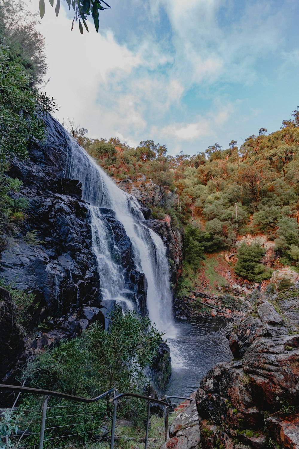 ein Wasserfall mit einer Reihe von Bäumen drumherum