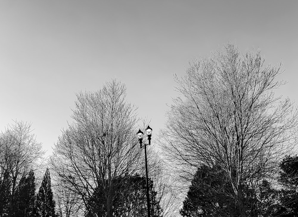 a black and white photo of a street light