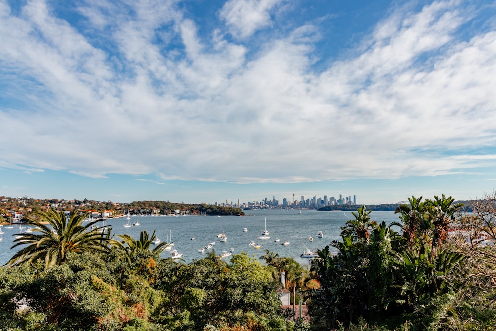 a view of a bay with boats in the water and a city in the distance